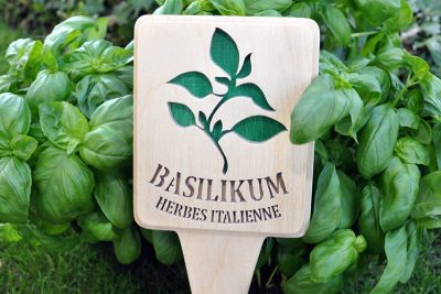 Basilikum & Co.