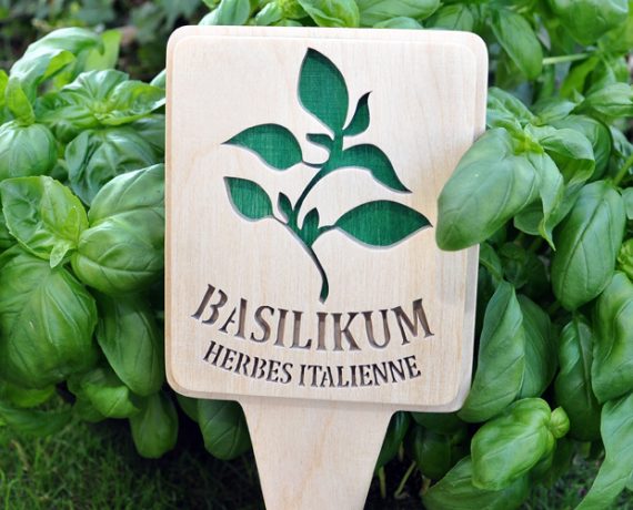 Basilikum & Co.