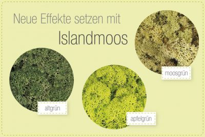 Islandmoos – Vielseitiges Naturmaterial für Ihre DIY-Ideen