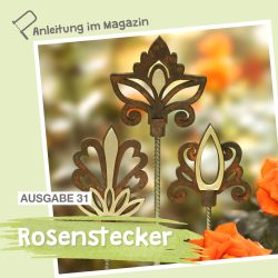 rosenstecker-ausgabe-31-instagram-1
