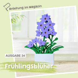 0323-Frühlingsblüher